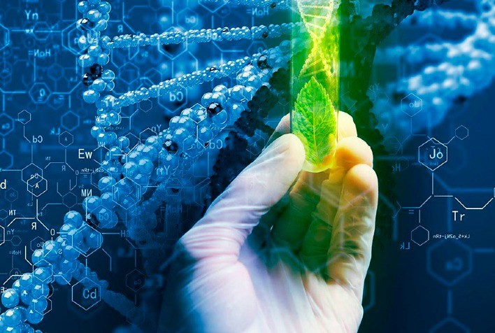 Biotecnologia: Transformando Possibilidades em Realidade