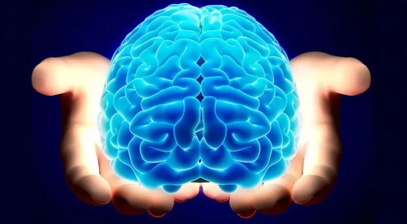 Curiosidades sobre o Cérebro: O Órgão mais Complexo do Corpo
