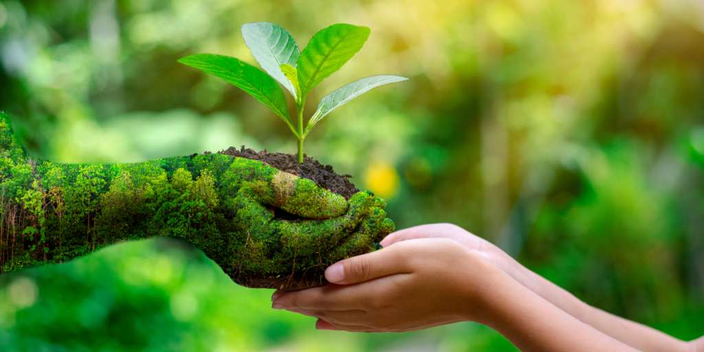 Cultivando Consciência para um Futuro Sustentável