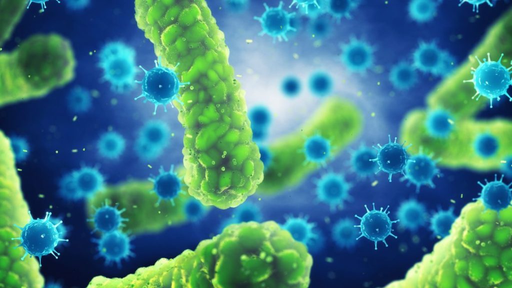 Incrível Mundo dos Microorganismos